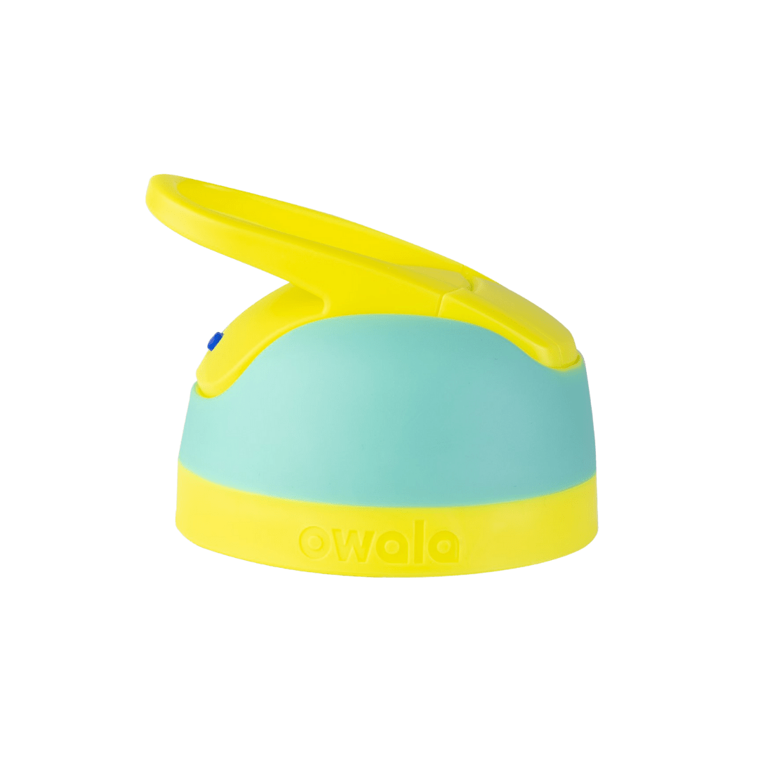 Replacement Lids 6SD6