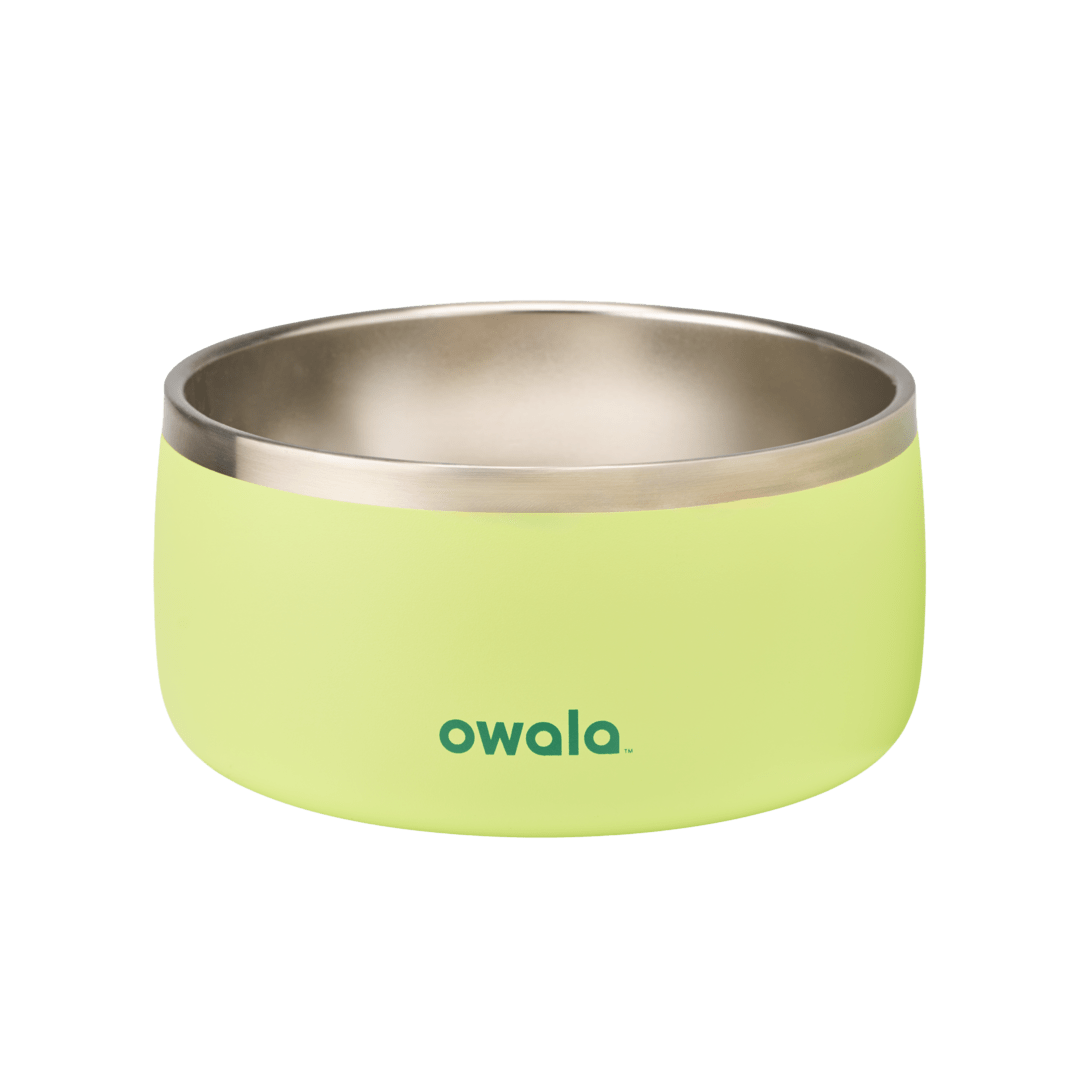 Pet Bowl 3EDO