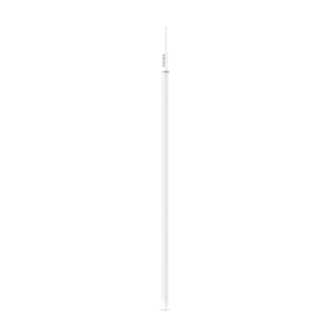 Replacement Straws BDXI