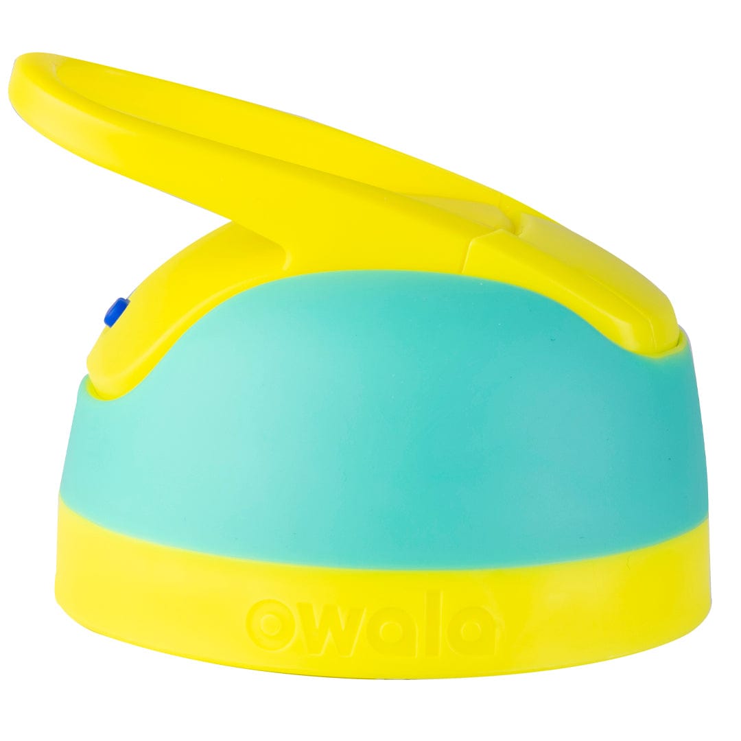 Replacement Lids 6SD6