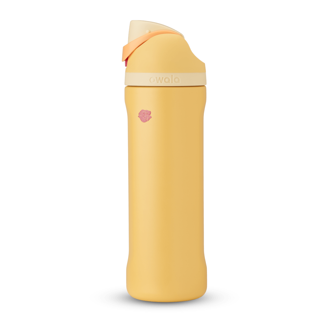 Disney Princess Collection T81R
