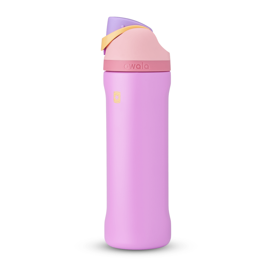 Disney Princess Collection T81R