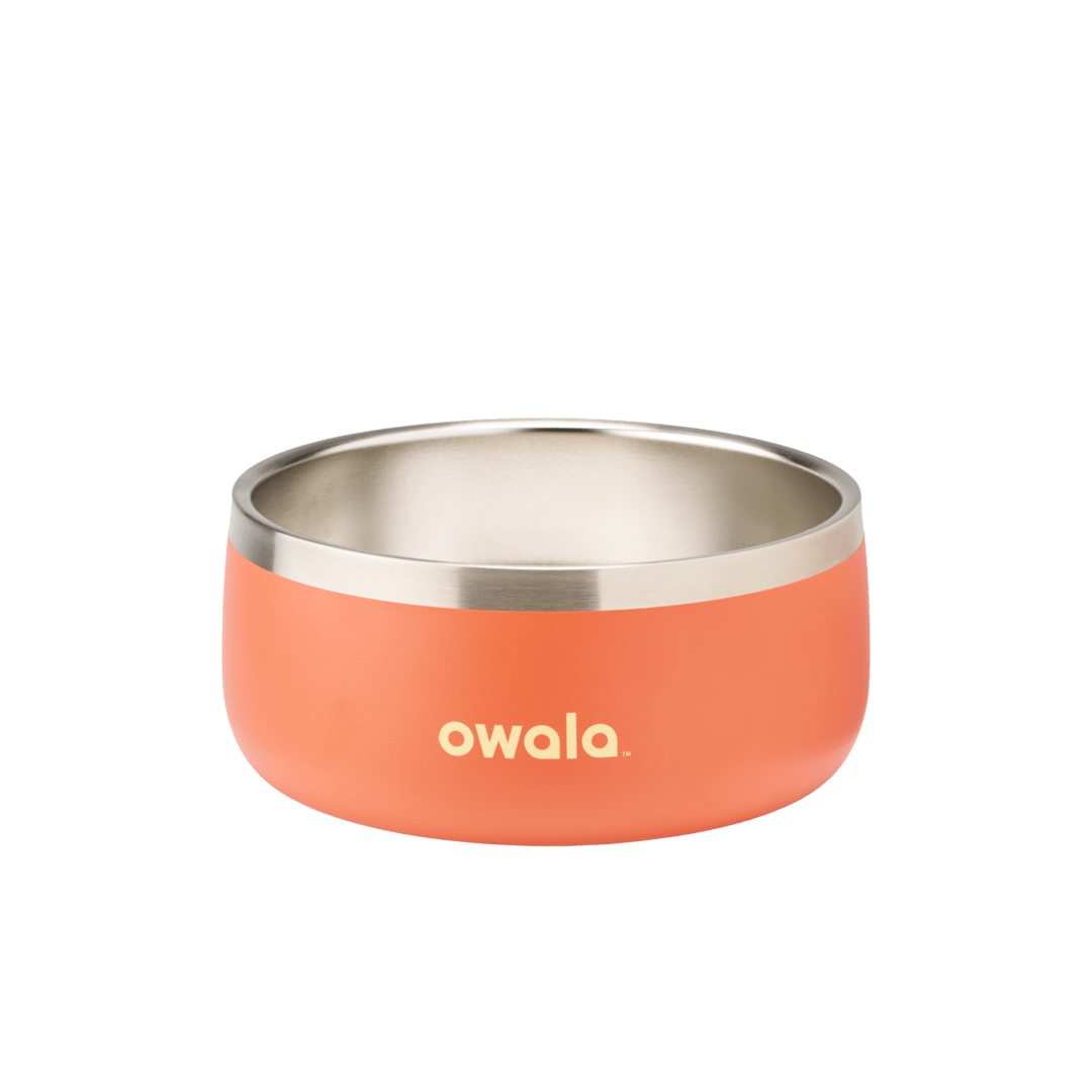 Pet Bowl 3EDO