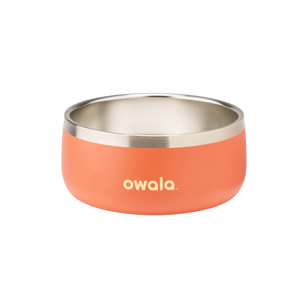 Pet Bowl 3EDO