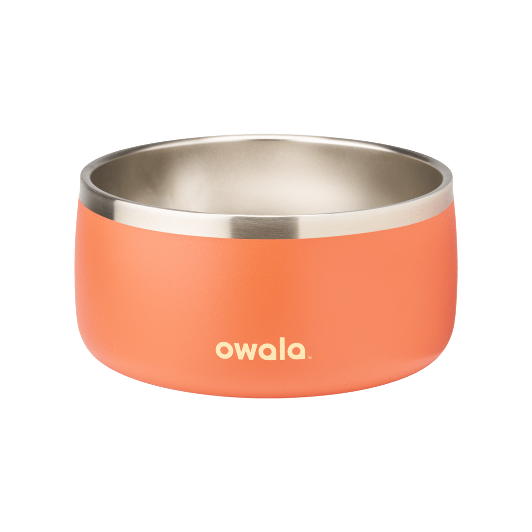 Pet Bowl 3EDO