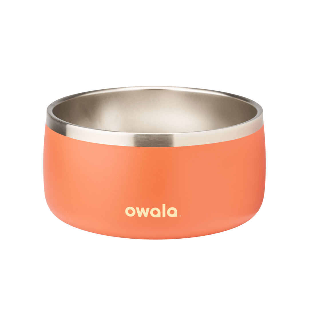 Pet Bowl 3EDO