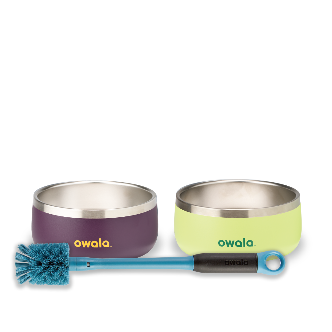 Pet Bowl Bundle DL3F