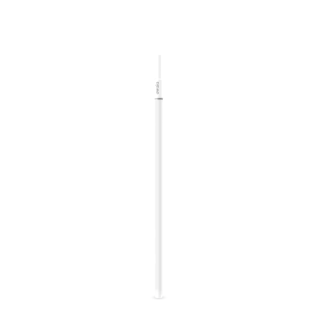 Replacement Straws BDXI