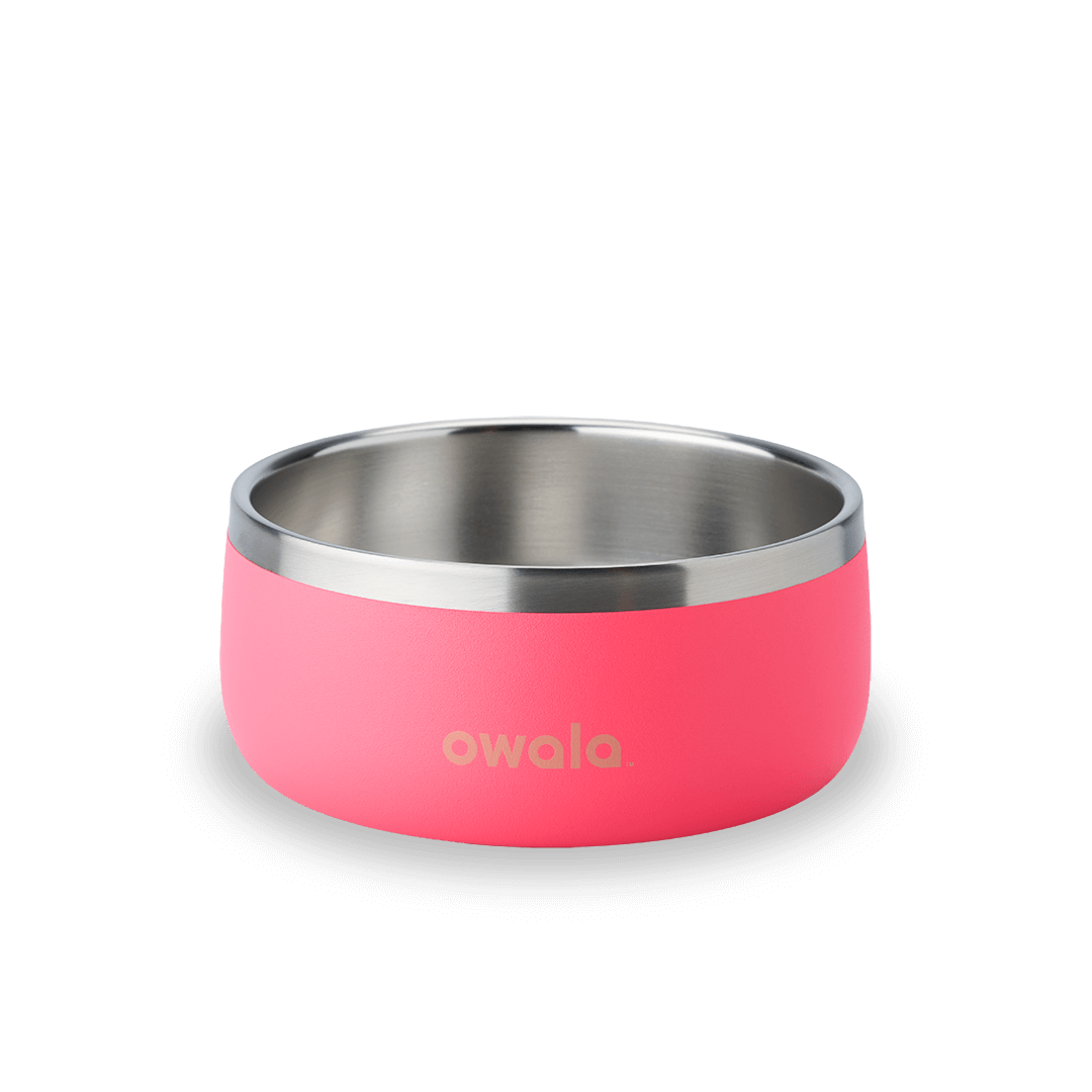 Pet Bowl 3EDO