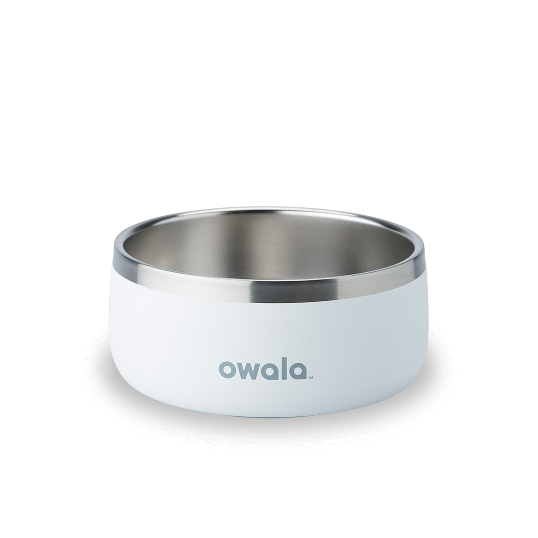 Pet Bowl 3EDO