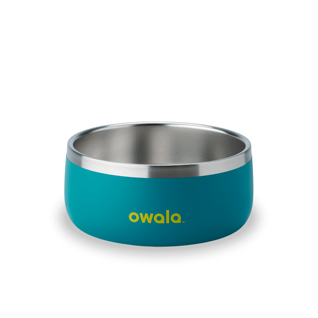 Pet Bowl 3EDO