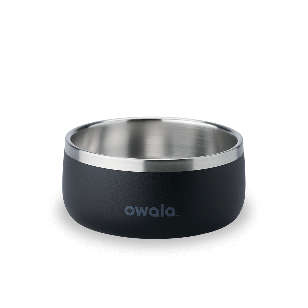 Pet Bowl 3EDO
