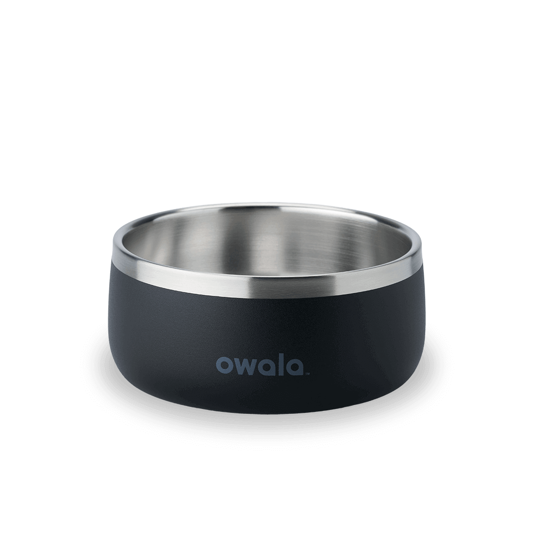 Pet Bowl 3EDO