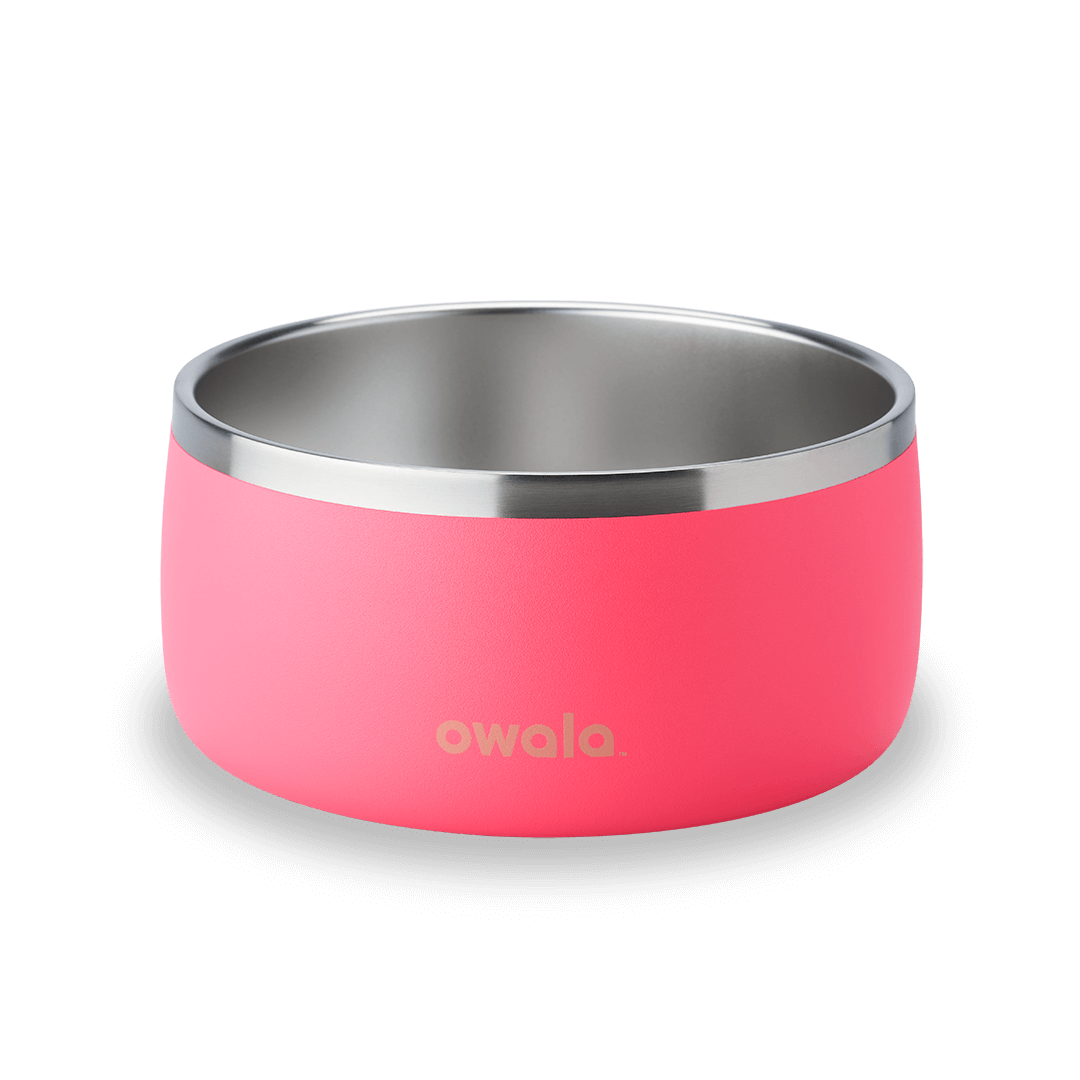Pet Bowl 3EDO