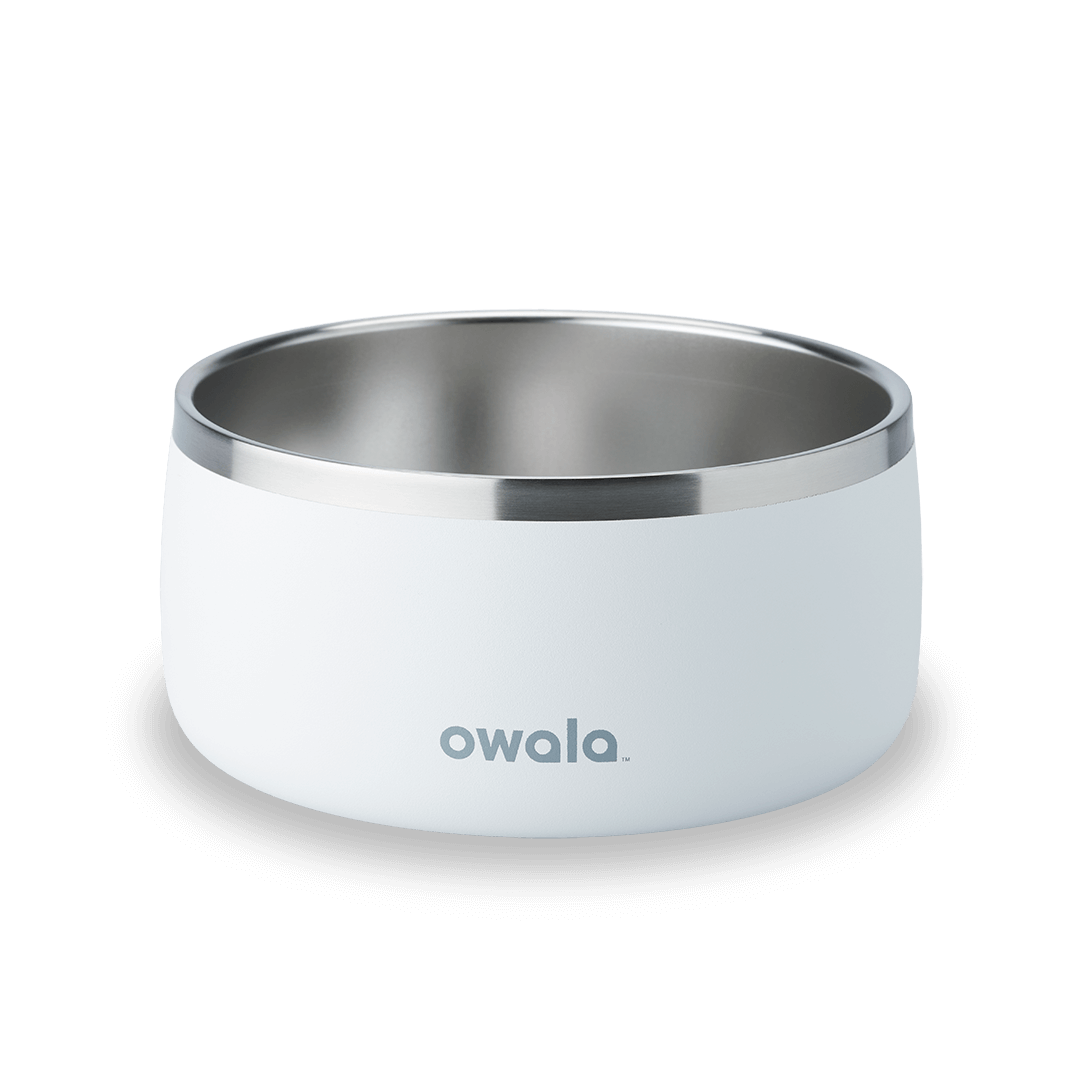Pet Bowl 3EDO