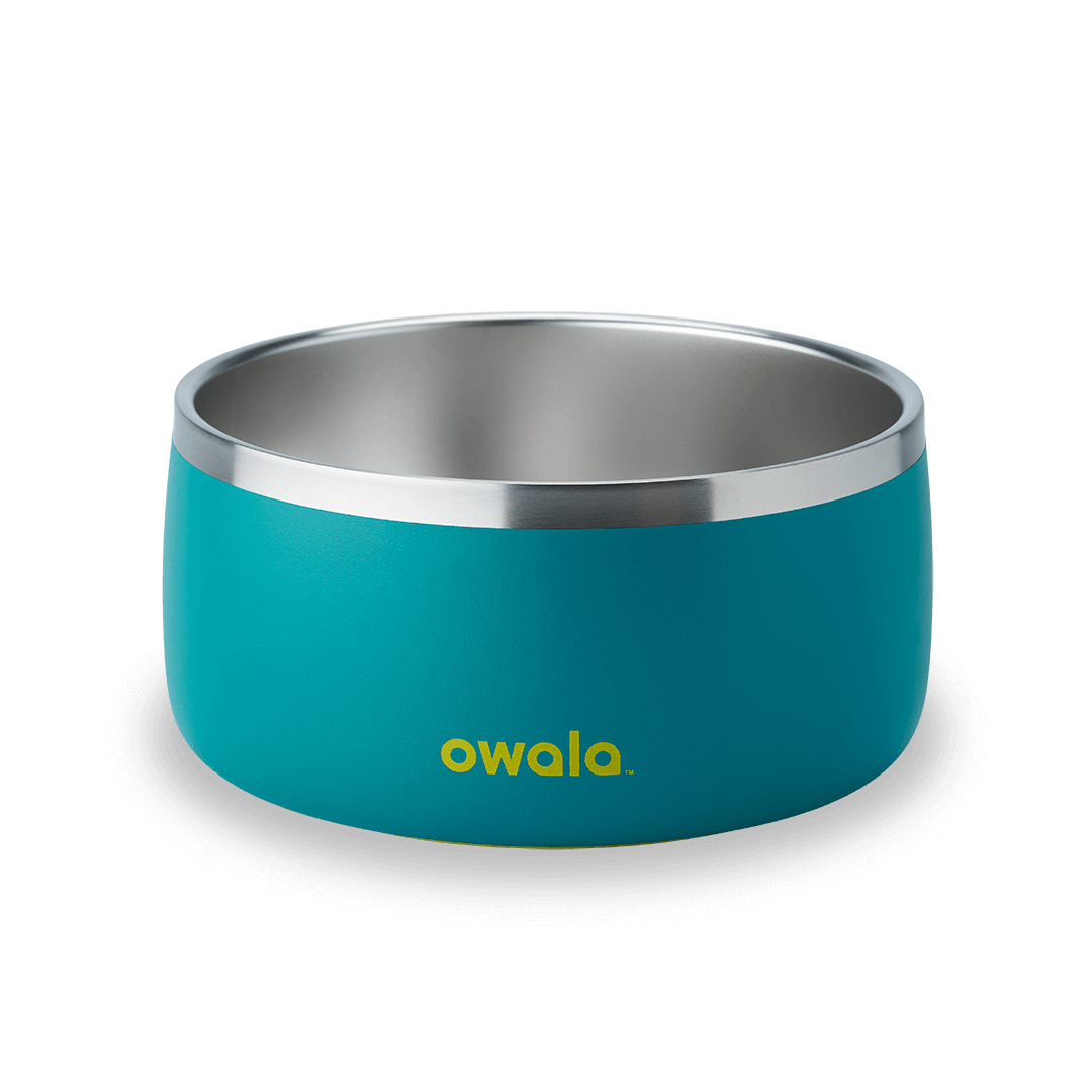 Pet Bowl 3EDO