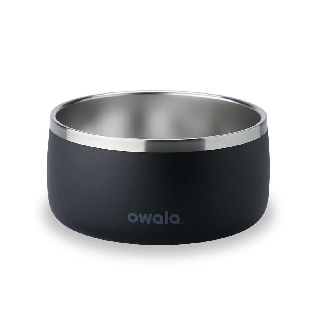 Pet Bowl 3EDO