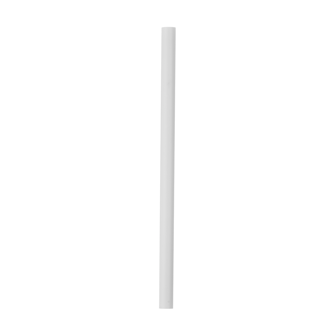 Replacement Straws BDXI